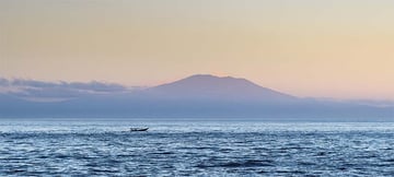 extended image result